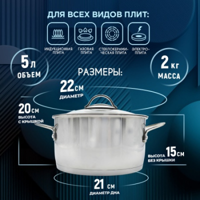 Кастрюля 5,0л/ d220 стекл.кр, с ТРС (4) "Магритт"