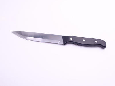 Нож КН-100 (25см) пласт.ручка КЛАССИК (84)